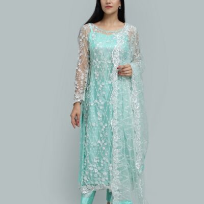 Sheer Grace –  Net Dress with Embellished Details -RTW