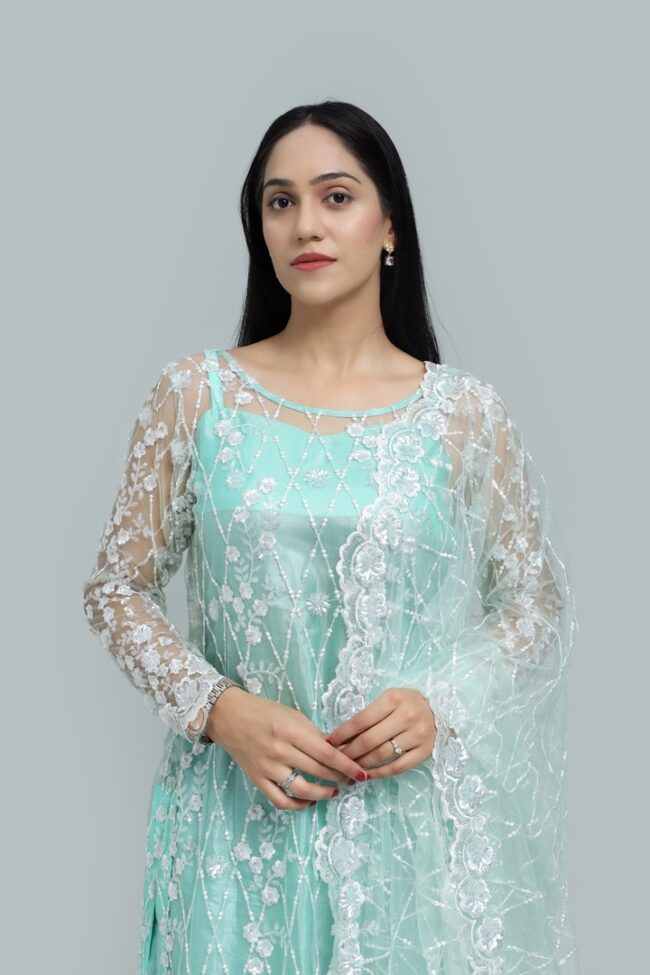 Sheer Grace –  Net Dress with Embellished Details -RTW - Image 2