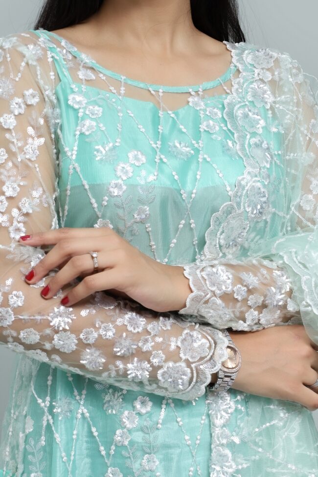 Sheer Grace –  Net Dress with Embellished Details -RTW - Image 3