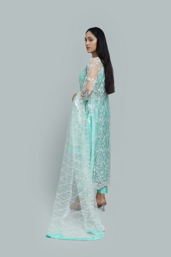 Sheer Grace –  Net Dress with Embellished Details -RTW - Image 4