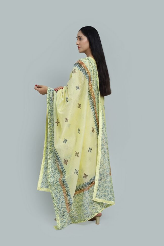 Noor-e-Lawn-Block Printed with Mukesh-RTW - Image 3